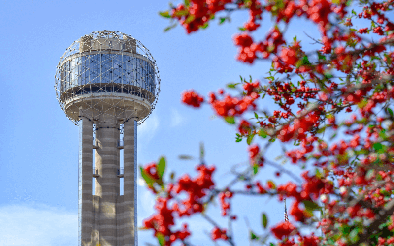 summer in dallas