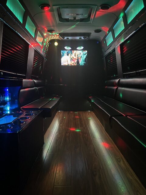 sprinter interior